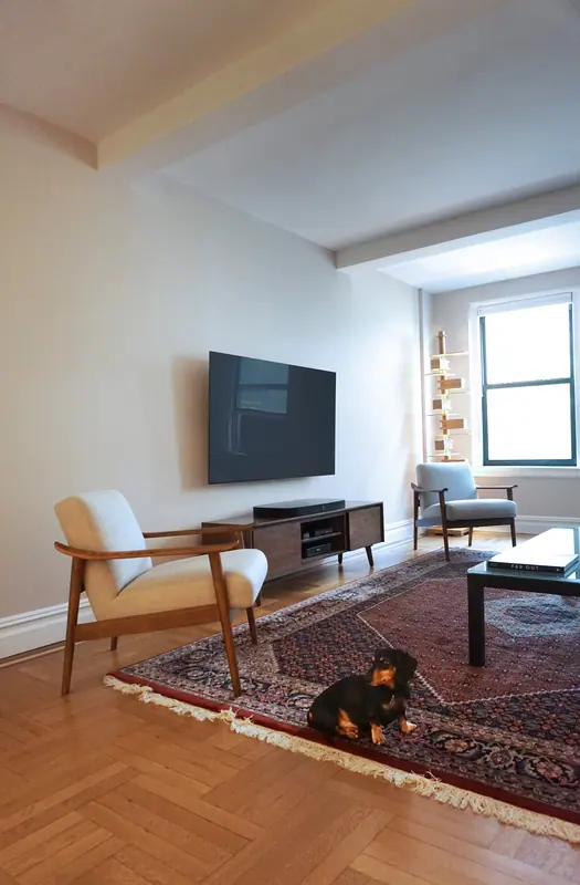 Central Park Flat, fig. 07 of 12