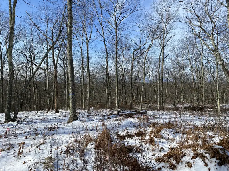 Modern Upstate Retreat, fig. 08 of 28