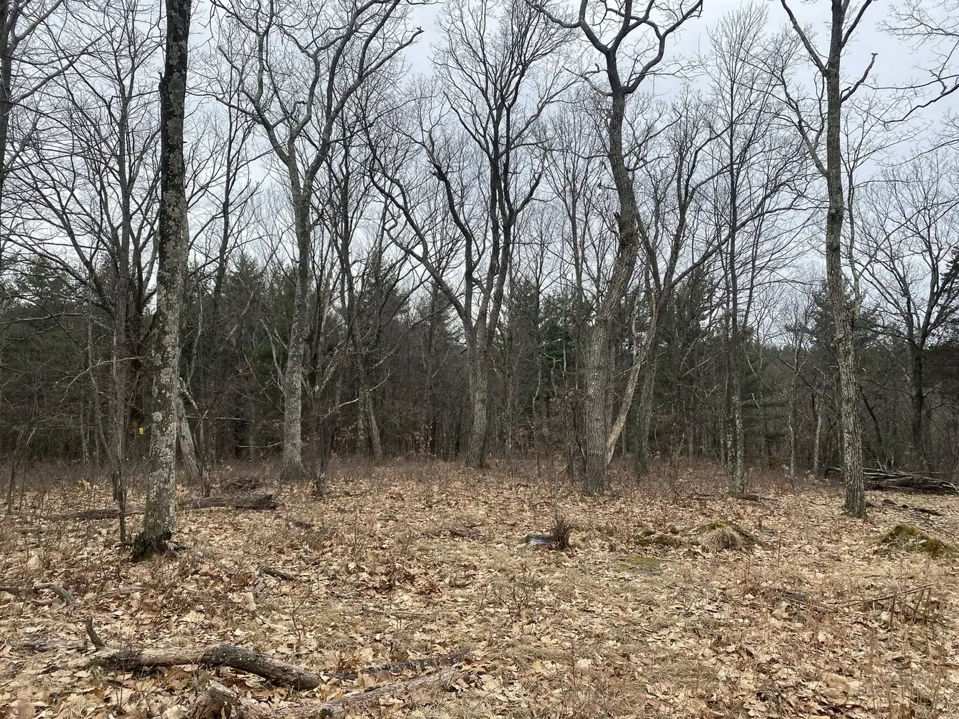 Modern Upstate Retreat, fig. 09 of 28