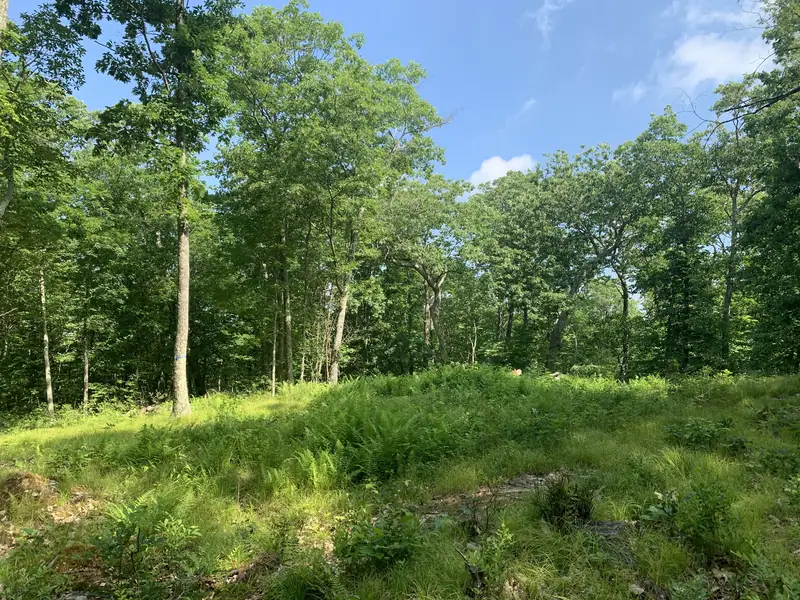 Modern Upstate Retreat, fig. 10 of 28